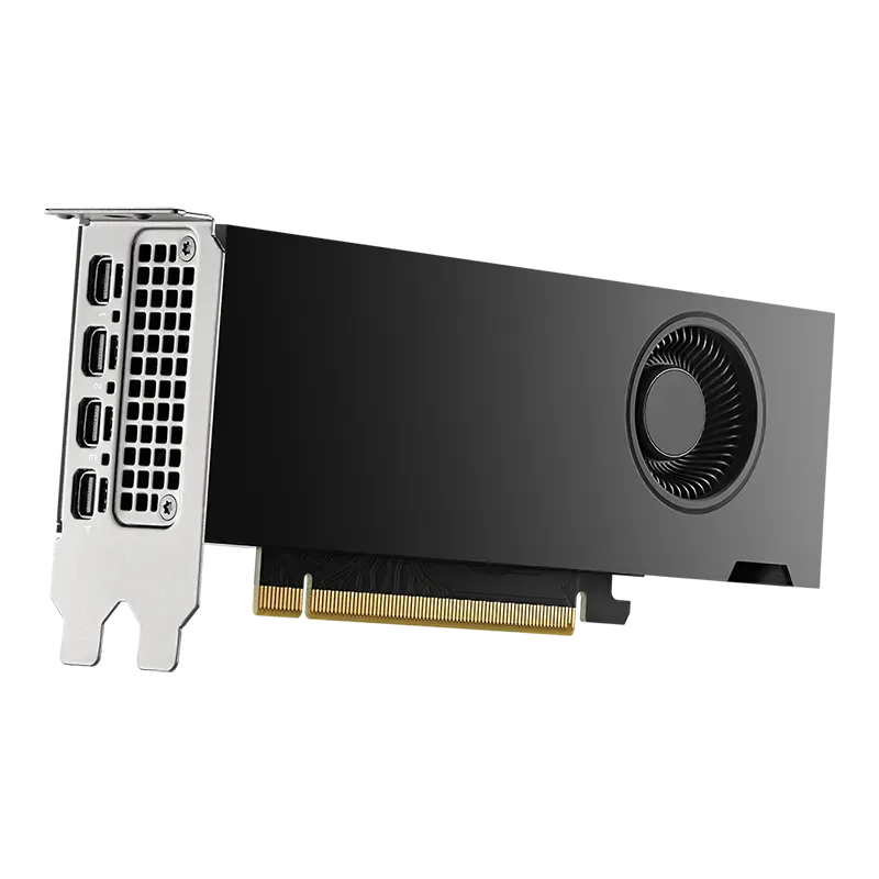 PNY NVIDIA RTX 2000 Ada Generation Graphics card, 16 GB GDDR6 with ECC, 128-bit, 224 GB/sec, 2816 CUDA Cores, 88 Tensor Cores | VCNRTX2000ADA-SB - PC Builder UAE