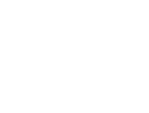 CORSAIRLogo2020_stack_W